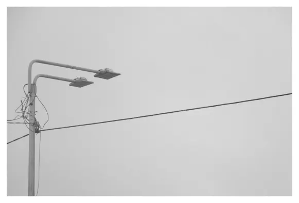 Kasino Spin 247 Sokongan